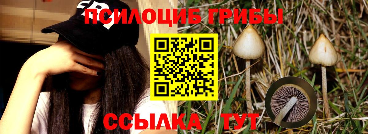 Галлюциногенные грибы ЛСД Норильск