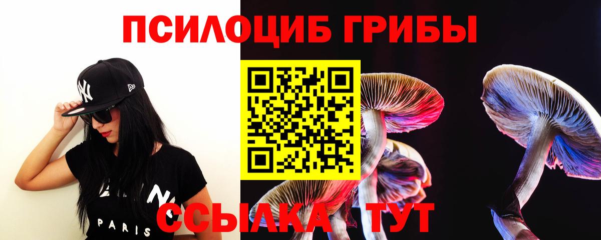 Норильск  Галлюциногенные грибы мицелий  Вход с VPN  Псилоцибиновые грибы Cubensis 